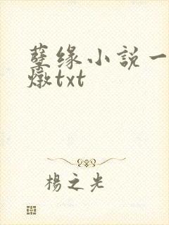 孽缘小说一家乱炖txt