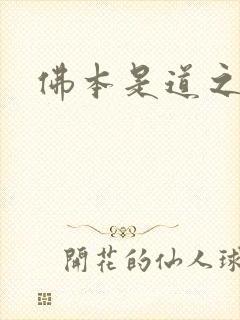 佛本是道之无极