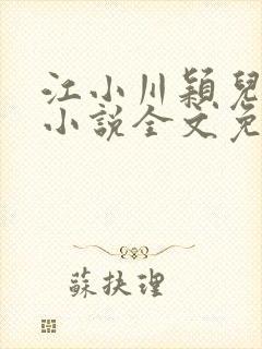 江小川颖儿穿越小说全文免费阅读