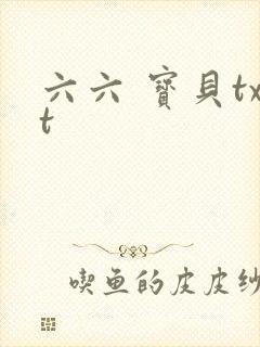 六六 宝贝txt