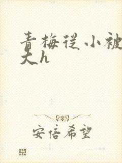 青梅从小被弄到大h