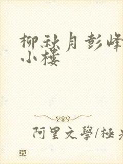 柳秋月彭峰月满小楼