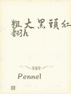 粗大黑头红肿外翻h