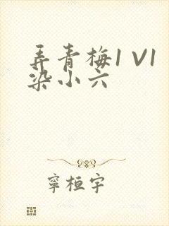 弄青梅1 V1染小六