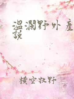 温澜野外产子小说