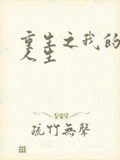 重生之我的抄袭人生