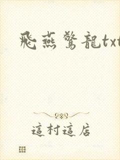 飞燕惊龙txt