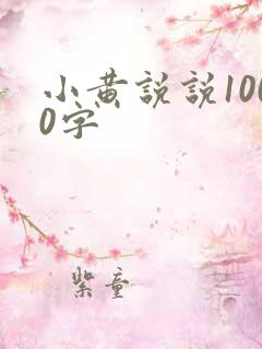 小黄说说1000字
