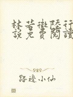 林若微陆行止小说免费阅读