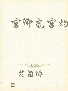 宫卿岚宫灼小说