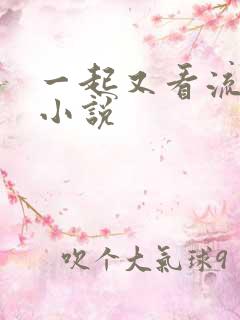 一起又看流星雨小说