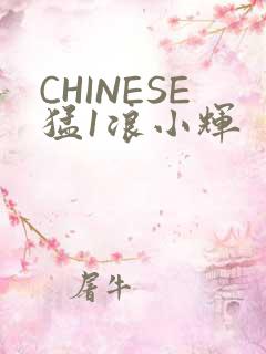 CHINESE猛1浪小辉