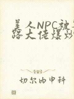 美人NPC被各路大佬爆炒小说