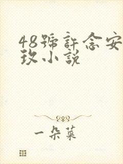 48号许念安穆玫小说