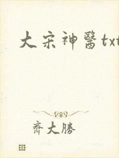 大宋神医txt