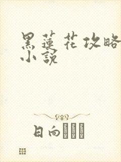 黑莲花攻略手册小说