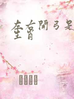 左右开弓是什么生肖