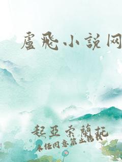 卢飞小说网