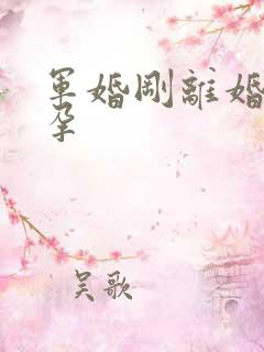 军婚刚离婚就怀孕