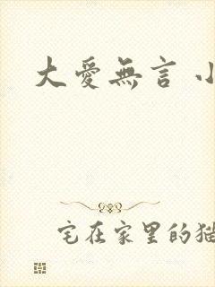 大爱无言 小说