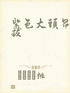 紫色大头昂扬挺拔