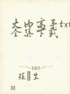 大内高手txt全集下载