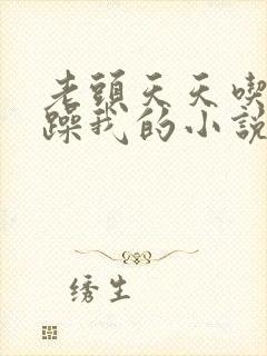 老头天天吃我奶躁我的小说