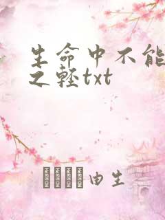 生命中不能承受之轻txt