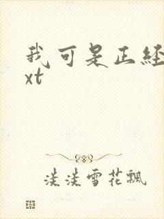 我可是正经人txt