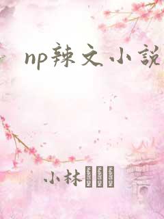 np辣文小说