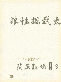 狼性总裁太凶猛