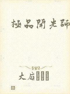极品开光师阅读