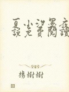 夏小汐墨夜霆小说免费阅读