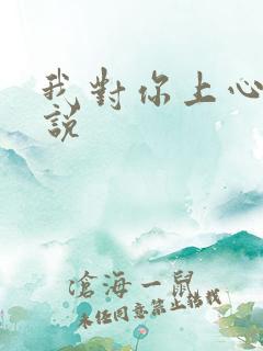 我对你上心了小说