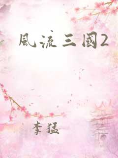 风流三国2