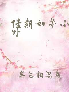 佳期如梦小说番外