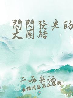 闪闪发光的小说大团结