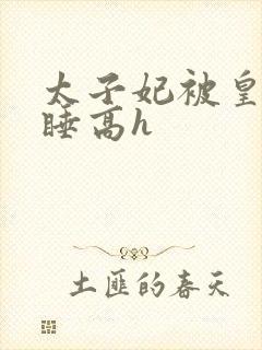 太子妃被皇上强睡高h