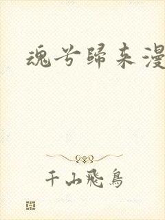 魂兮归来漫蒹葭