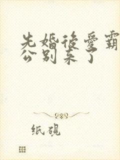 先婚后爱霸道老公别来了