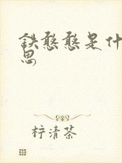 铁憨憨是什么意思