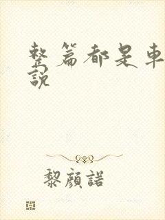 整篇都是车的小说