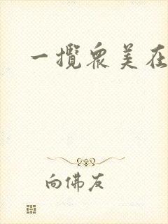 一揽众美在三国