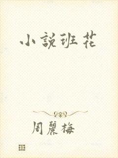 小说班花