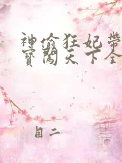 神偷狂妃带着宝宝闯天下全文免费阅读