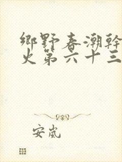 乡野春潮干柴烈火第六十三章