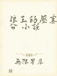 狼王的压寨小相公 小说