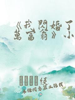 《我闪婚了个亿万富翁》小说