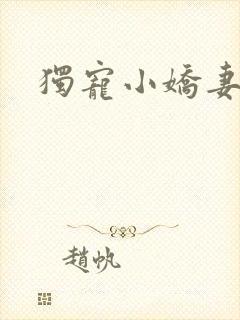 独宠小娇妻
