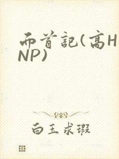 面首记(高H NP)